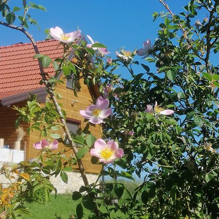Apartmani Tarin zov Kaludjerske Bare Exterior foto
