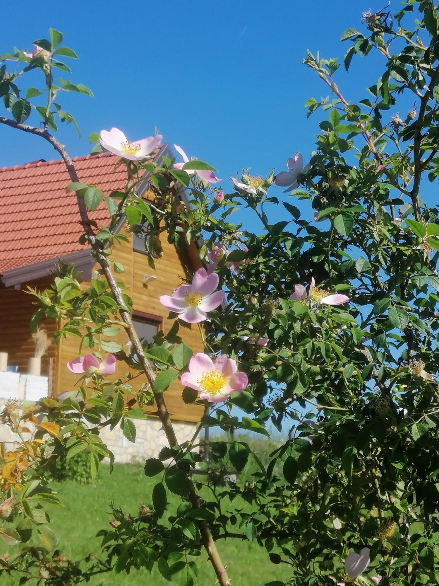 Apartmani Tarin zov Kaludjerske Bare Exterior foto